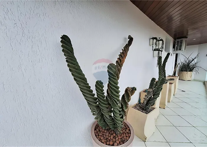 Piscina Sacada 3 Quartos 1 Suíte 2 Vagas Garagem Ar Condicionado Guarujá